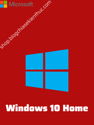 Key Windows 10 Home
