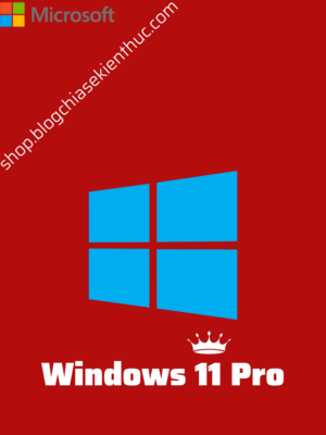 key Windows 11 Pro