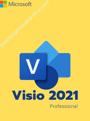 key-visio-2021-professional_1