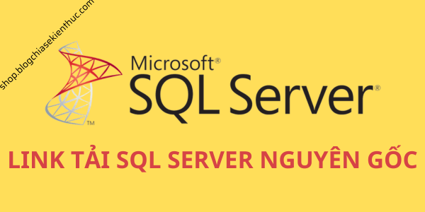 Link tải SQL Server nguyên gốc (ver 2022, 2019, 2017, 2016..)