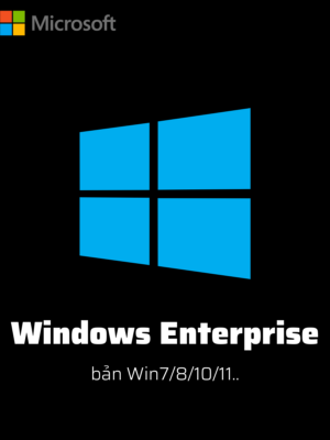 mua-key-windows-enterprise